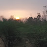 Milind Kumar