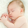 ANSH ROY
