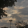 Aariya Vora