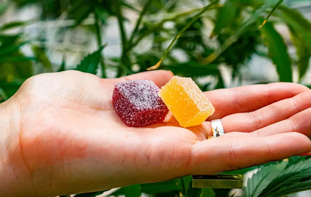 MediBloom CBD Gummies Review – What You Should Know Before Buying MediBloom CBD Gummies Review – What You Should Know Before Buying