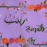 Zainab Wani