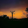 Satyam