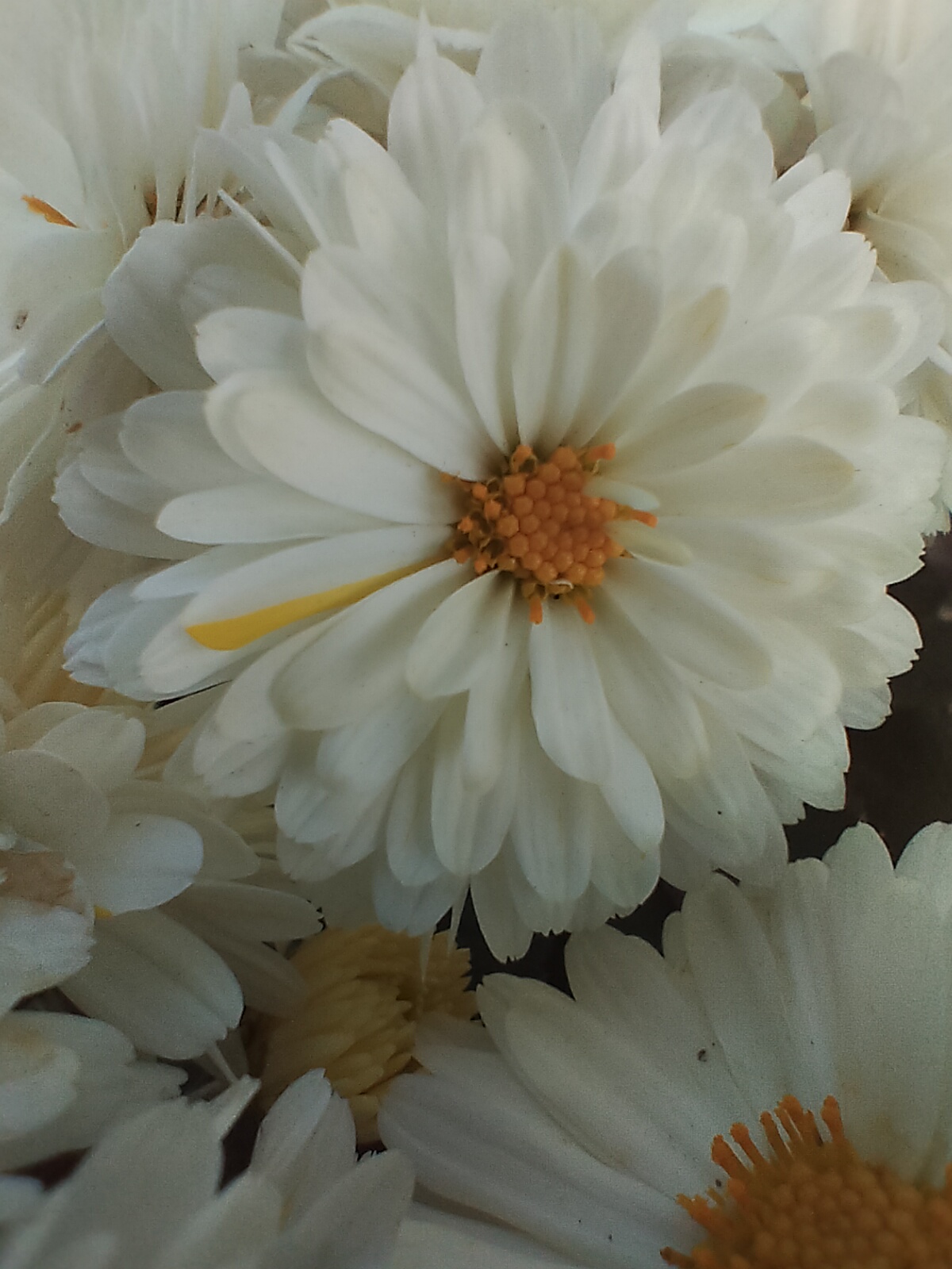 3024_Saurabh_sati