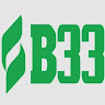 B33
