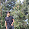 Bipin Bisht