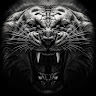 Rohith Reddy Y