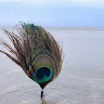 GUNJAN BANSAL