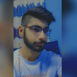 Ojas Elawadhi