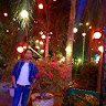 AKSH BANSAL