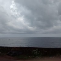 Saumya Acharya