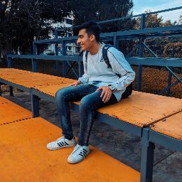Shardic 