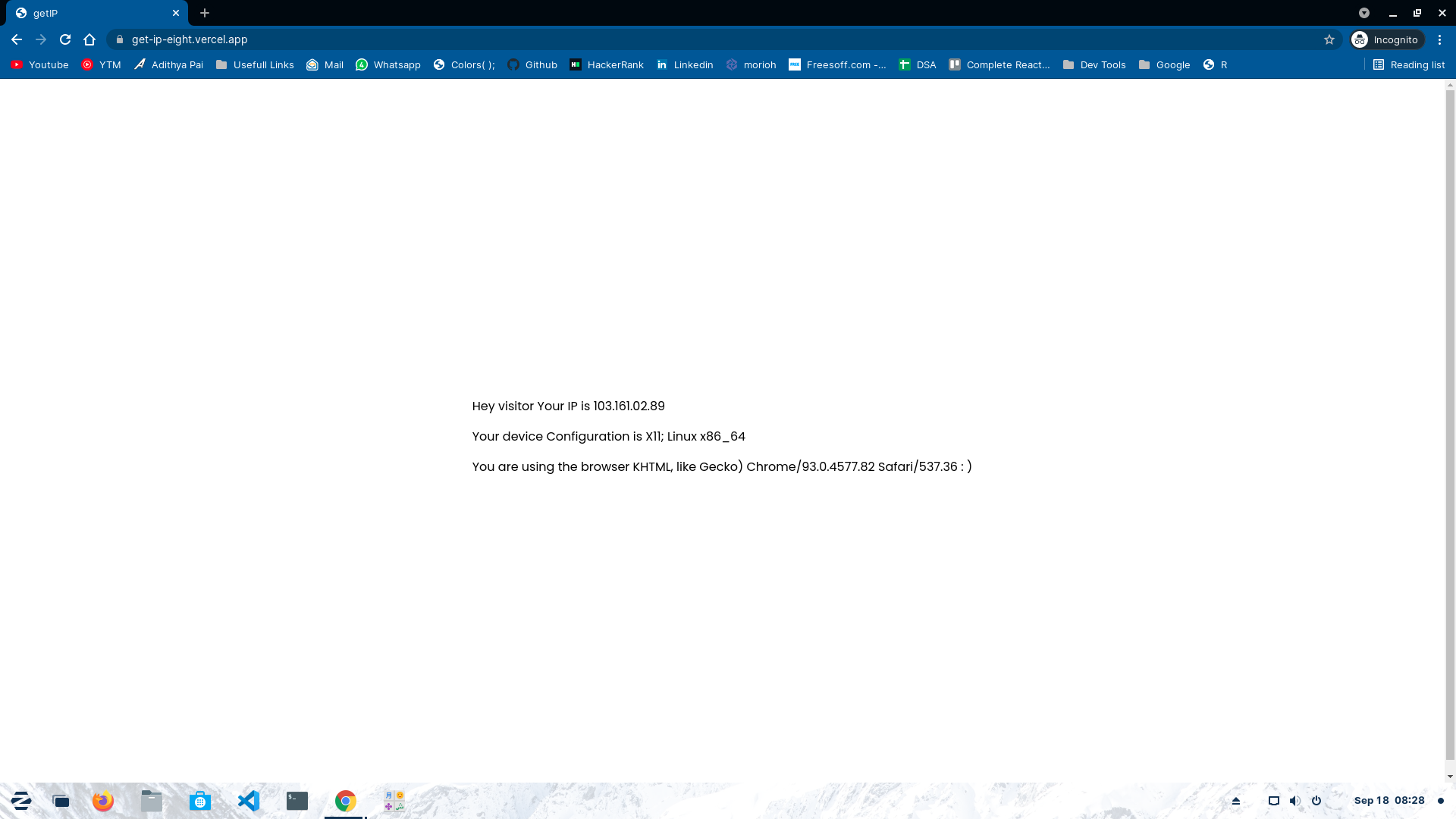 Get your public IP with just 2 lines of code