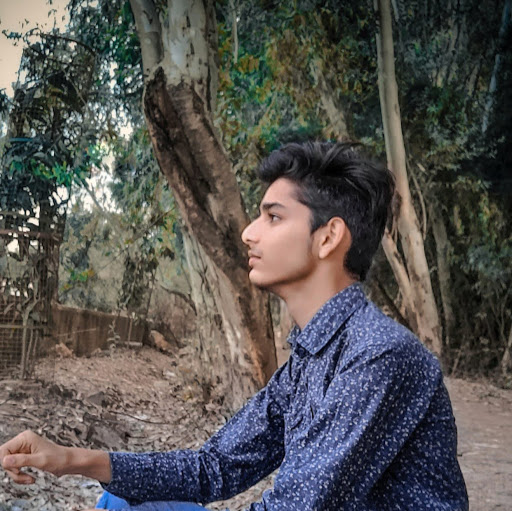 Pavitra gurjar