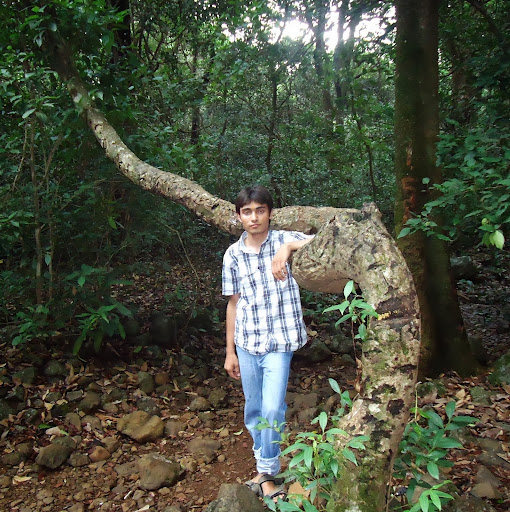 Vineet Kataria