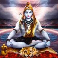 kuldeep yadav