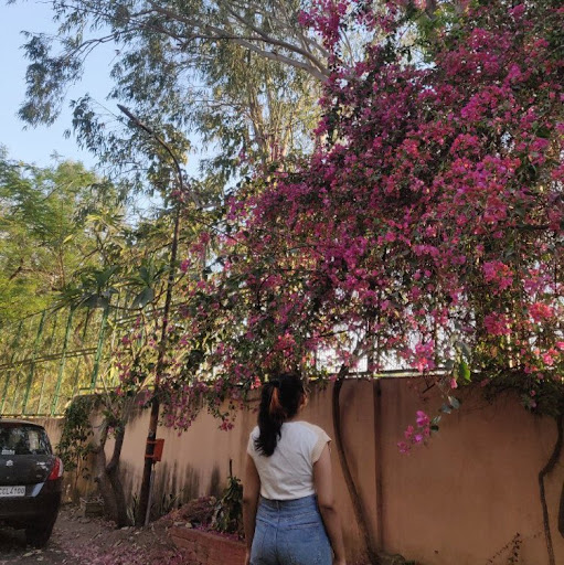 Kriti Arora