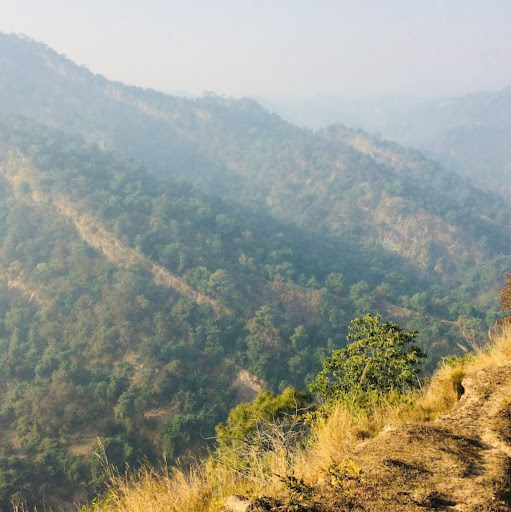Mohit Kumar Mohit Kumar