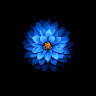 samarth .