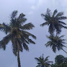 Varshitha R