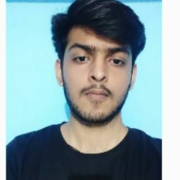 Nirbhay Singh