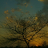 Satyam Sharma
