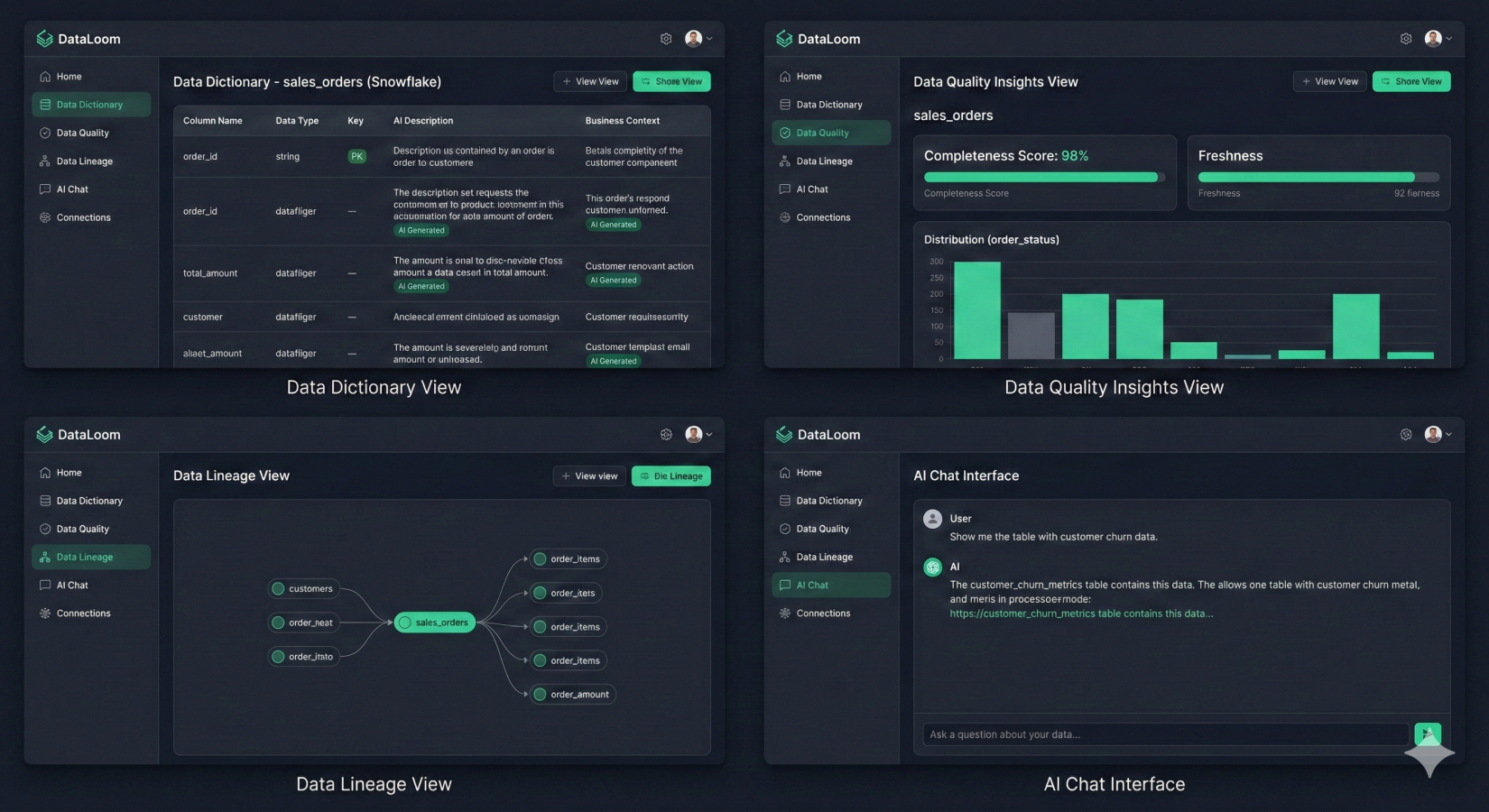 DataLoom Intelligent Data Dictionary