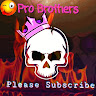 Pro Brothers