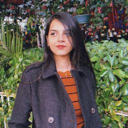Srishti Mohlay