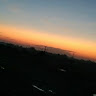 Sneha