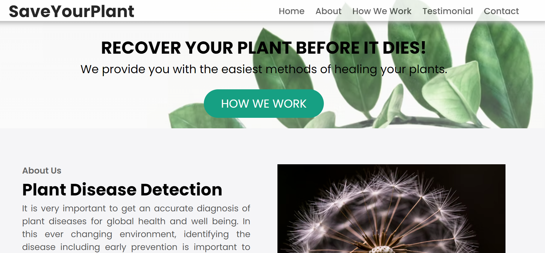 SaveYourPlant