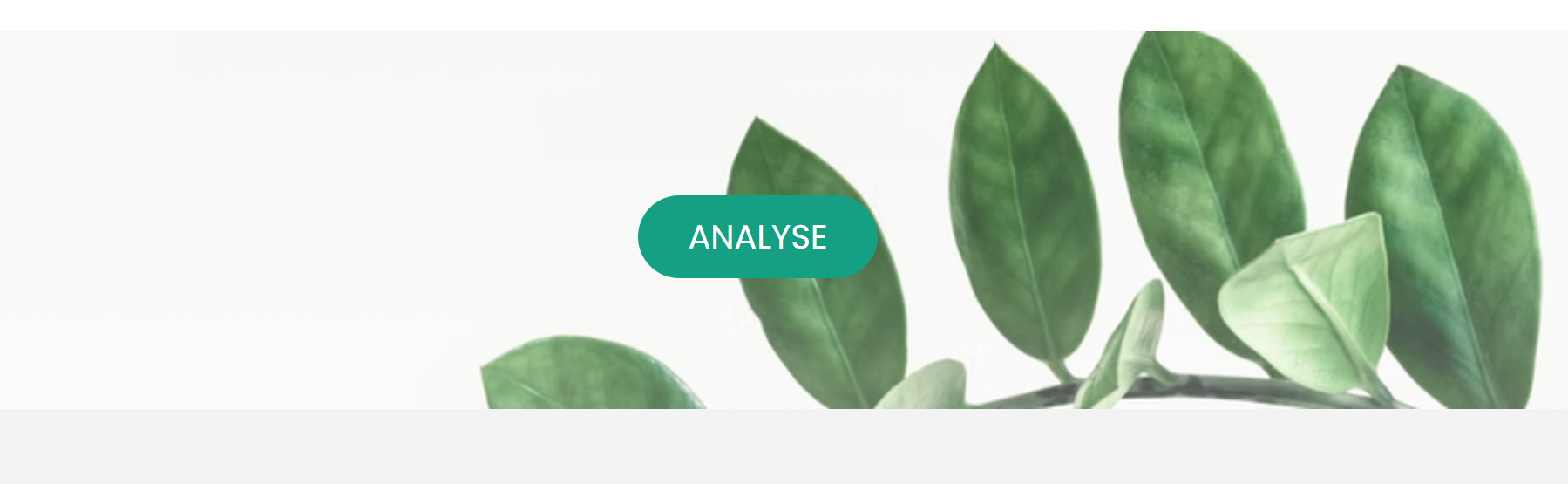 SaveYourPlant