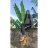 Anshu Priya