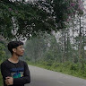 Anirban pal
