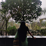 Sushreeta Banerjee