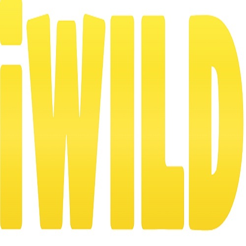 Iwild Casino