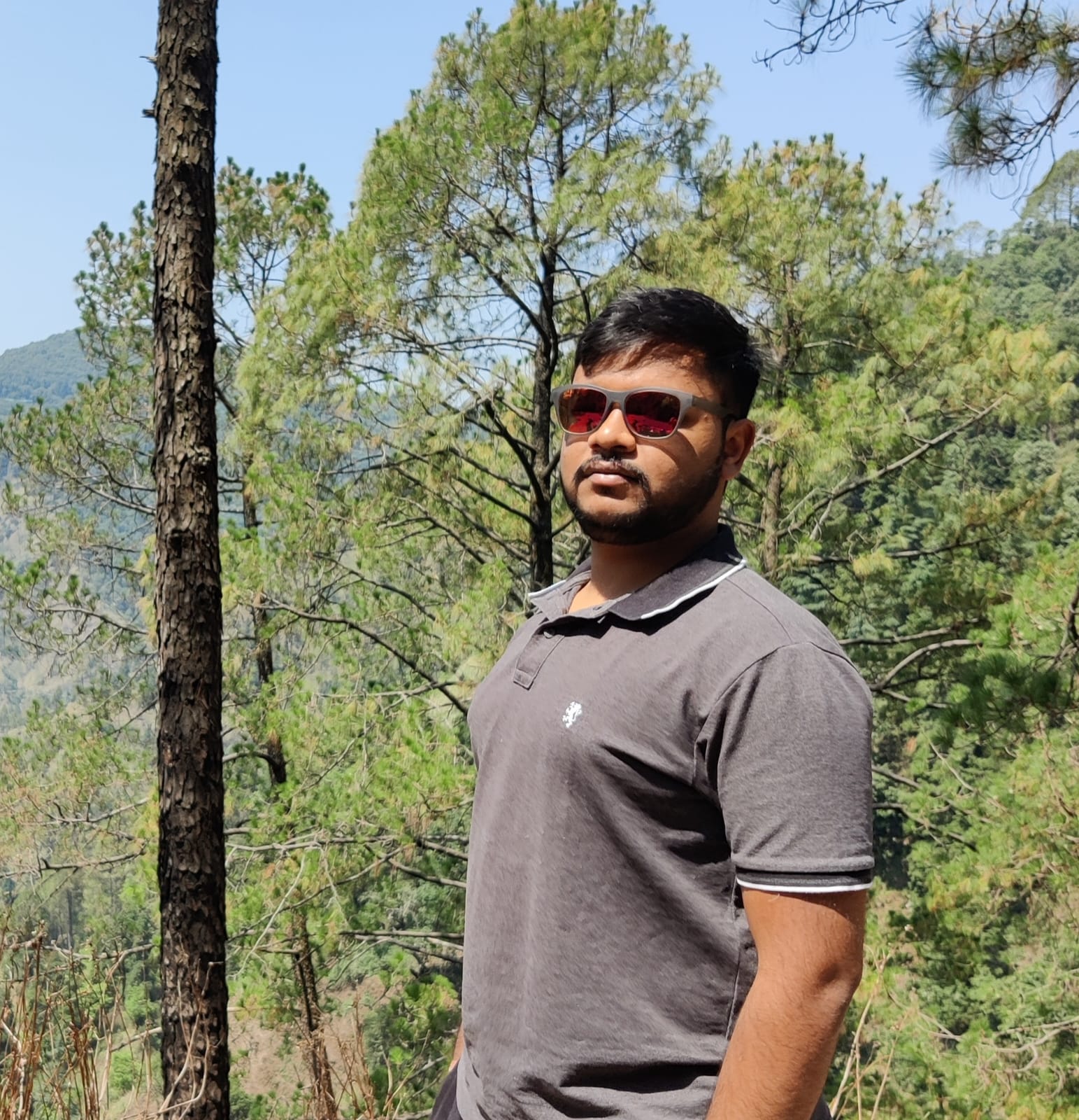 Mayank Goel