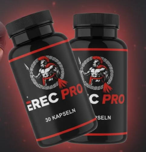 ErecPro Erfahrungen 2025