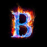 BHAVISHYA RAJ