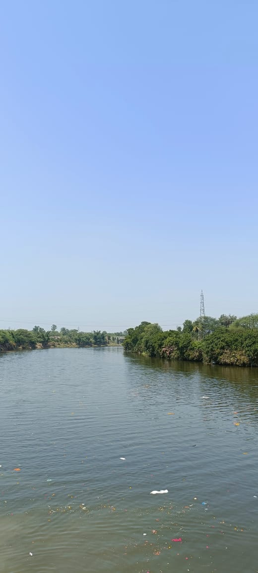 Vasudev Pant