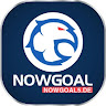 NowGoal