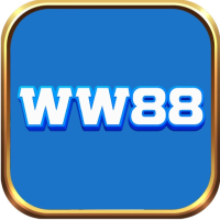 ww88studio