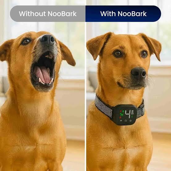 I Tried NooBark™ Anti-Bark Collar USA for 30 Days – Here’s My Honest Review I Tried NooBark™ Anti-Bark Collar USA for 30 Days – Here’s My Honest Review