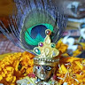 Shikha Pathak