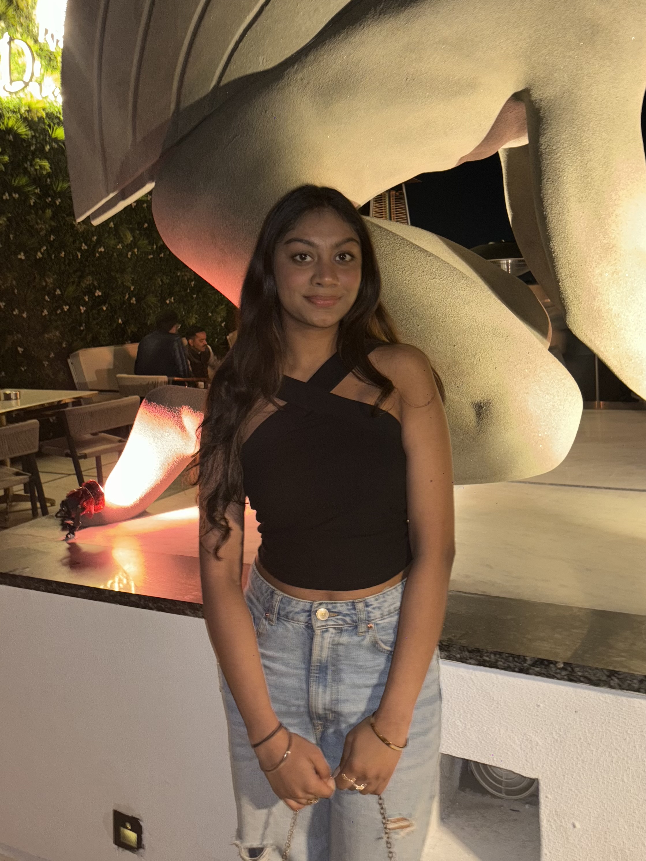 ananyakaushik073