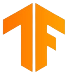 Tensor Flow Delhi Snap Lens