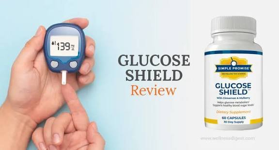 GlucoVault – Natural-Lifestyle Support for Healthy Blood Sugar GlucoVault – Natural-Lifestyle Support for Healthy Blood Sugar