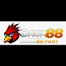 DAGA88