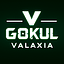 GOKUL G K