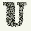 Urooj