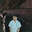 sparsh sharma